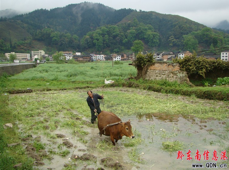 �\����Ϫˮ�M�r(n��ng)��æ���M�D��