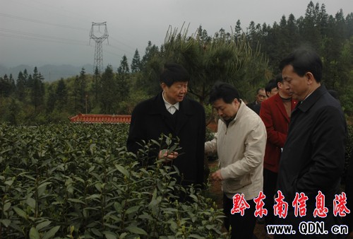 ��ƽ���B��N����ģʽ ɭ�ָ��w���_����72%