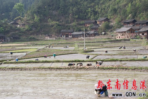 ��ɽ�r������ˮ������æ���D��