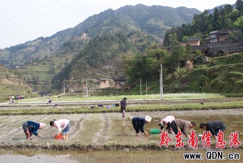 ��ɽ�r������ˮ������æ���D��