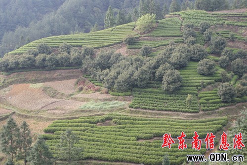 ��ɽ�h����2000�����ɲ蹤(�D)