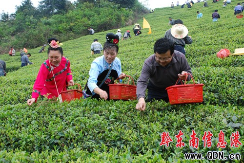 ��ɽ�h����2000�����ɲ蹤(�D)