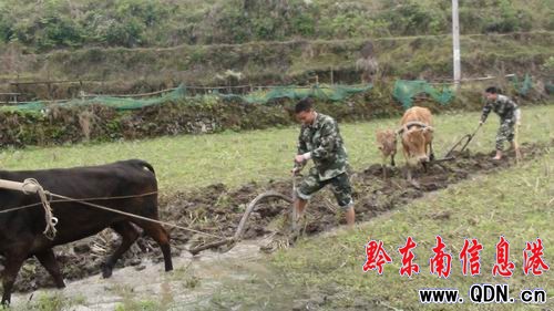 劍河消防抽水保春耕 下地耕田當(dāng)“農(nóng)夫”