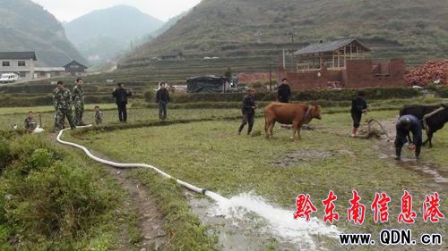 劍河消防抽水保春耕 下地耕田當(dāng)“農(nóng)夫”