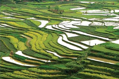 �(zh��n)�h�hӿϪ�l(xi��ng)�����������D��