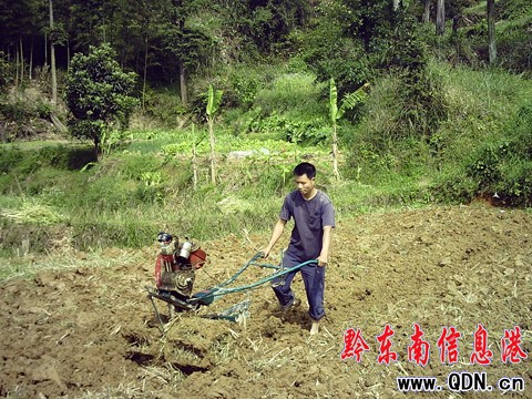 ��ƽ����ţ �E�R ����C�R�[�������M�D��