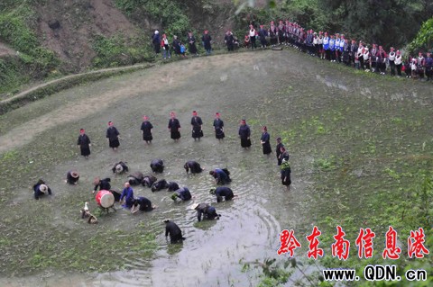 ��(d��)�ص��F������ˮ���裨�M�D��