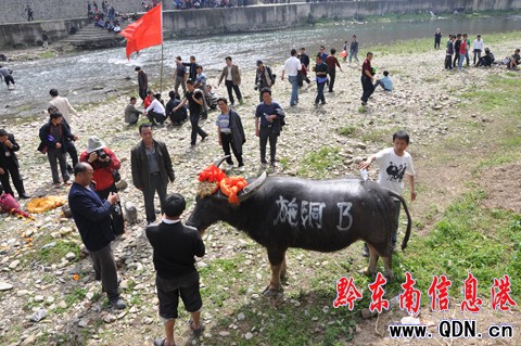 �_���e�k��ţ��ِ�g����ù����M�D��