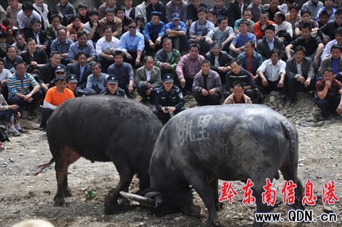 �_���e�k��ţ��ِ�g����ù����M�D��