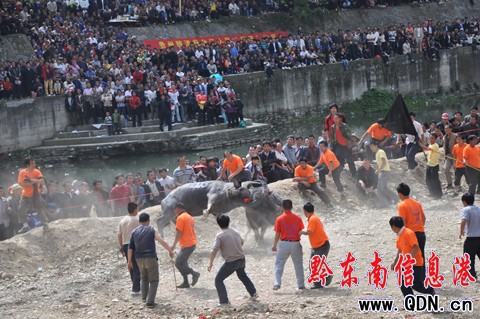 �_���e�k��ţ��ِ�g����ù����M�D��