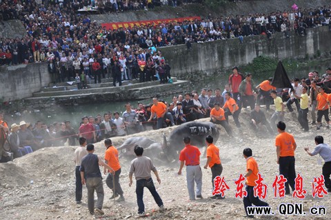 �_���e�k��ţ��ِ�g����ù����M�D��