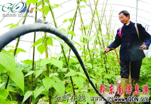 ���빝ˮ��ȹ��̽��ɣ��D��