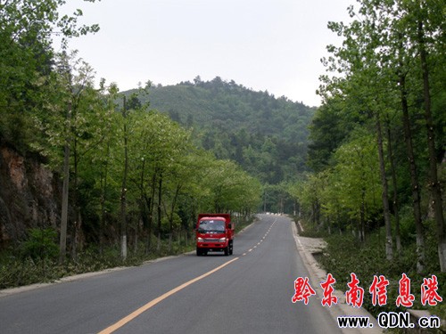 我州數萬株行道樹集體“理發”迎國檢(圖)