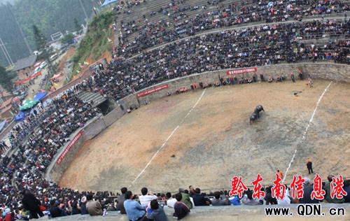 �F����ƽ���f���^�� ���ʼ��ʣ��D��