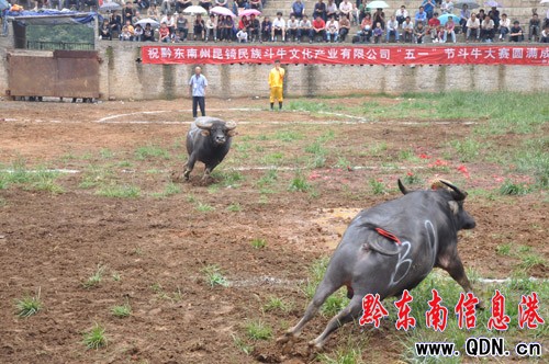 �M·������߄� �f��