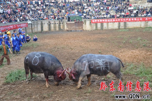 �M·������߄� �f��