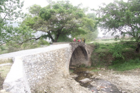 �Ž�����ӭ�����ޏ�һ�£��D��