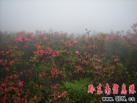 ��կ�f��Ұ�����N�����G����Ҳ�������M�D��