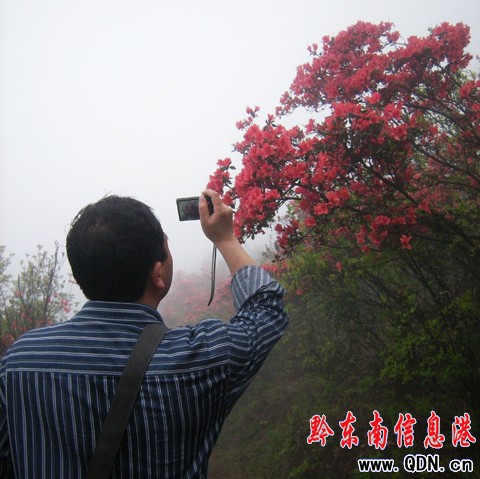 ��կ�f��Ұ�����N�����G����Ҳ�������M�D��