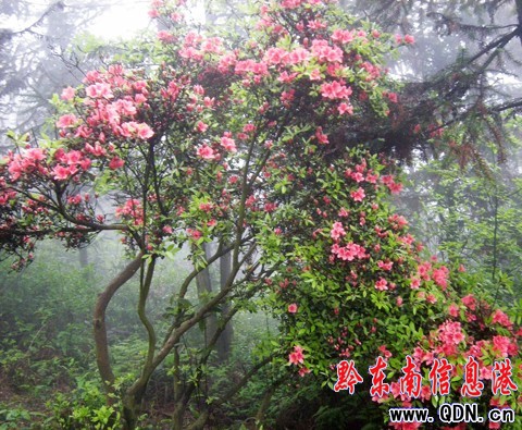 ��կ�f��Ұ�����N�����G����Ҳ�������M�D��