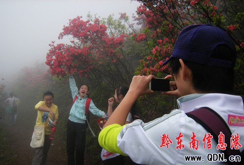 ��կ�f��Ұ�����N�����G����Ҳ�������M�D��