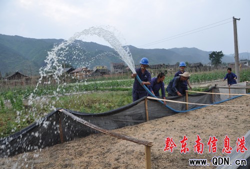 �Ž��������һ�����żٞ���ռ��O���羀·���D��