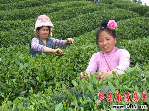 ��ɽ���r�ɲ�æ �ɲ�a���_300�����D��