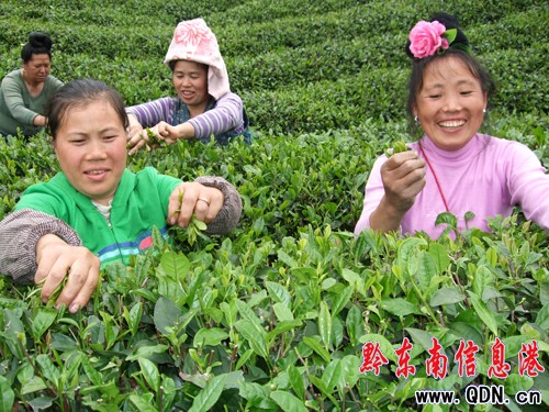 ��ɽ���r�ɲ�æ �ɲ�a���_300�����D��