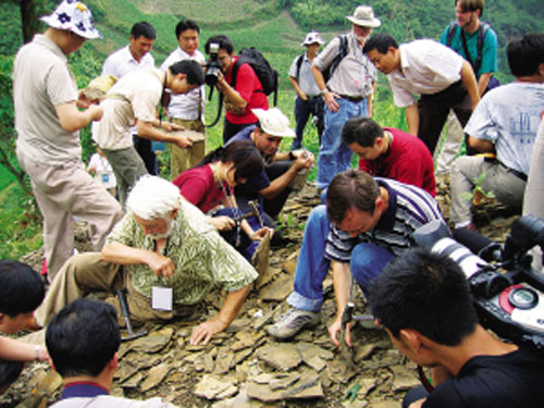 ���Ӱ��ɹ����ﻯʯ�zַ�x������ҵ��|(zh��)���@