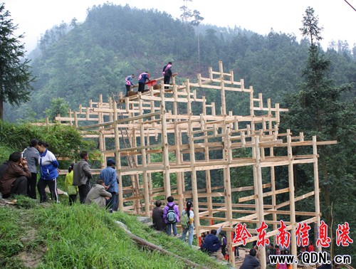 �����a�����ߺ� ��Ҷ��l����ϲ���£��D��