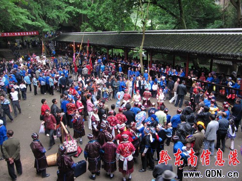 �Sƽ�w���¡����°ˡ����弯�����D��