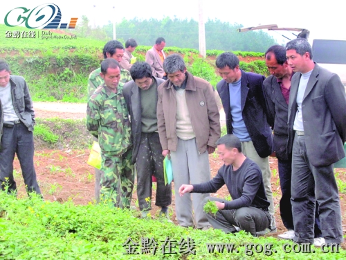 �Sƽ�ߘ�(bi��o)��(zh��n)̫�Ӆ����سɞ��Ű���ˎԭ�Ϲ���(y��ng)��