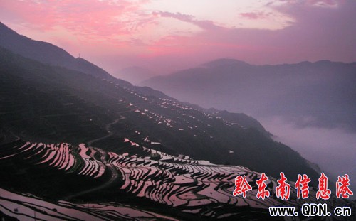 ���˵ďĽ��Ӱ�����D��