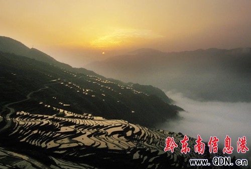 ���˵ďĽ��Ӱ�����D��