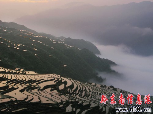 ���˵ďĽ��Ӱ�����D��