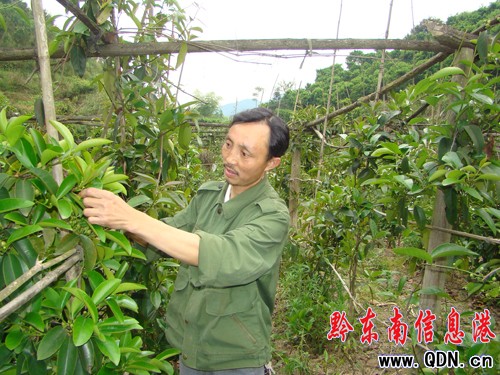 �\��ԭ���B���}�����L��ϲ���S���������D��