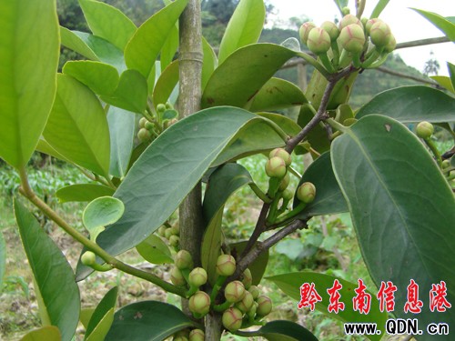 �\��ԭ���B���}�����L��ϲ���S���������D��