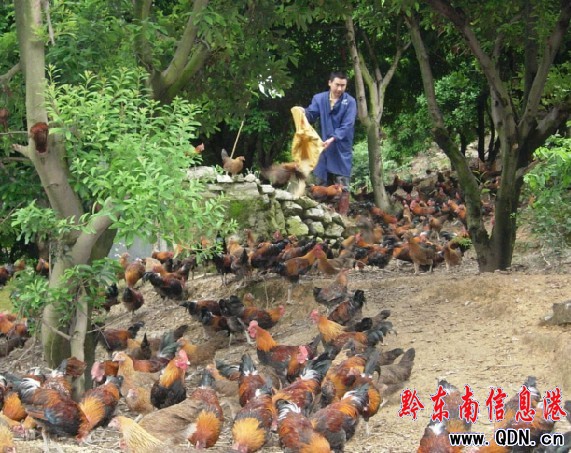 �����r��������k�����B�u������һ�����D��