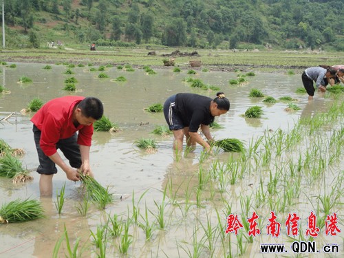 �Sƽ��ʩˮ���߮a5200�� ����֮���S�գ��D��