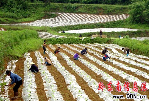 ��ȫ�����1.18�f�����������΄գ��D��