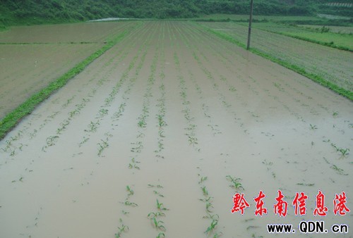 ��h���Ž���125.7mm �pʧ��ǧ�f���M�D��