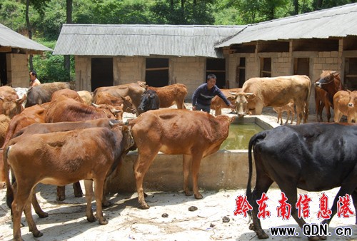 �얰lչ�����a�I�r��������Ʉ�10�fԪ���D��