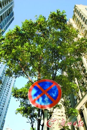 5�V�ݶ����Ј��ɽ����½��s3��