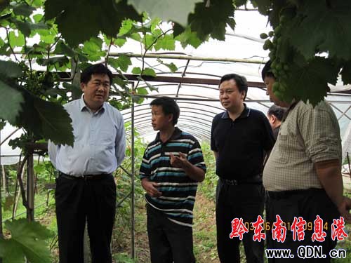 �����L�������Ž��{(di��o)���r(n��ng)�I(y��)�t(y��)���ȹ������D��