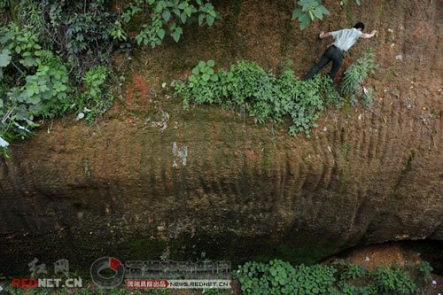 �����T�������¾Ȍ��ﹷ(�M�D)