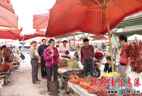 ��ɽ�����������������������ס��Ј����D��