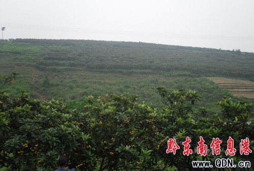 �_���r��Nֲ���u�X�䡱 �����������f�K