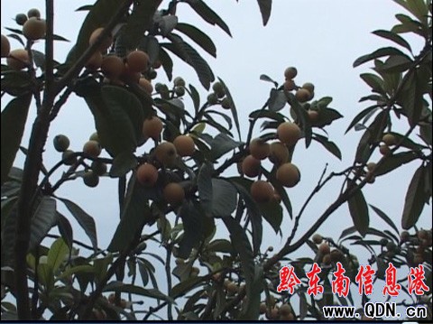 �_���r��Nֲ���u�X�䡱 �����������f�K