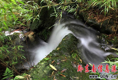 三穗老山坡臥藏著一條美麗的龍泉瀑布(組圖)