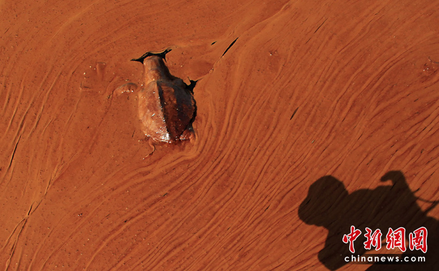 ī���瞳ԭ��й¶�Գ��m��Ⱦ�������